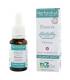 Elixir floral de Bach n°8 Chicory (Chicorée) frais BIO – Fleur Dr Bach Herbiolys