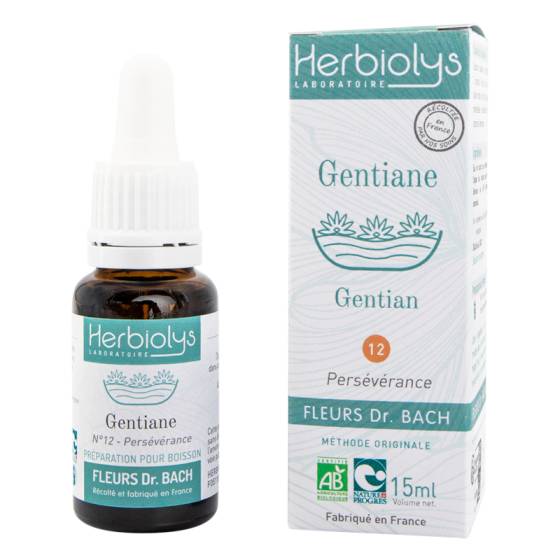 Elixir floral de Bach n°12 Gentiane (Gentian) frais BIO – Fleur Dr Bach Herbiolys