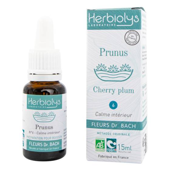 Elixir floral de Bach n°6 Cherry plum (Prunus) frais BIO – Fleur Dr Bach Herbiolys