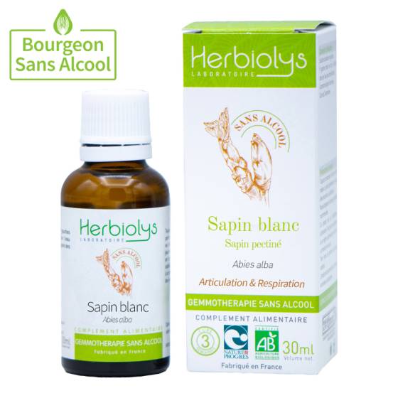 Sapin blanc / Sapin pectiné Bourgeon Bio - Gemmothérapie sans alcool Herbiolys
