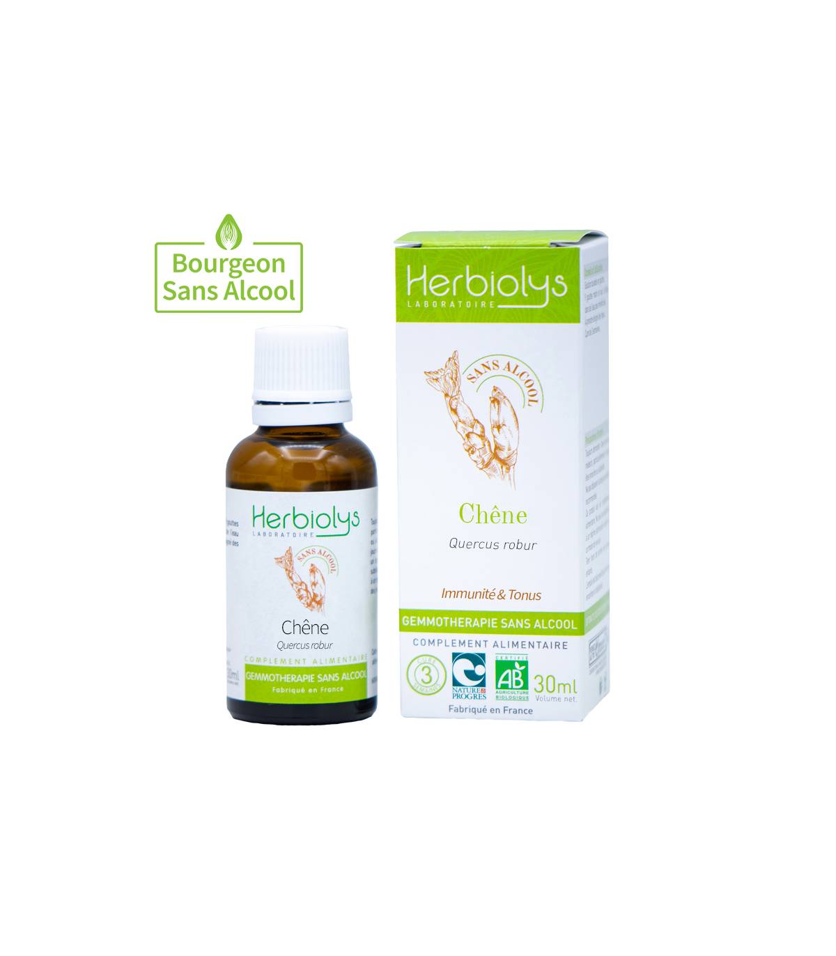 Gemmo ss alc chene bio — Herbiolys