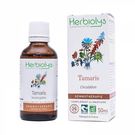 Macérat de bourgeon de Tamaris frais BIO - Herbiolys Gemmothérapie