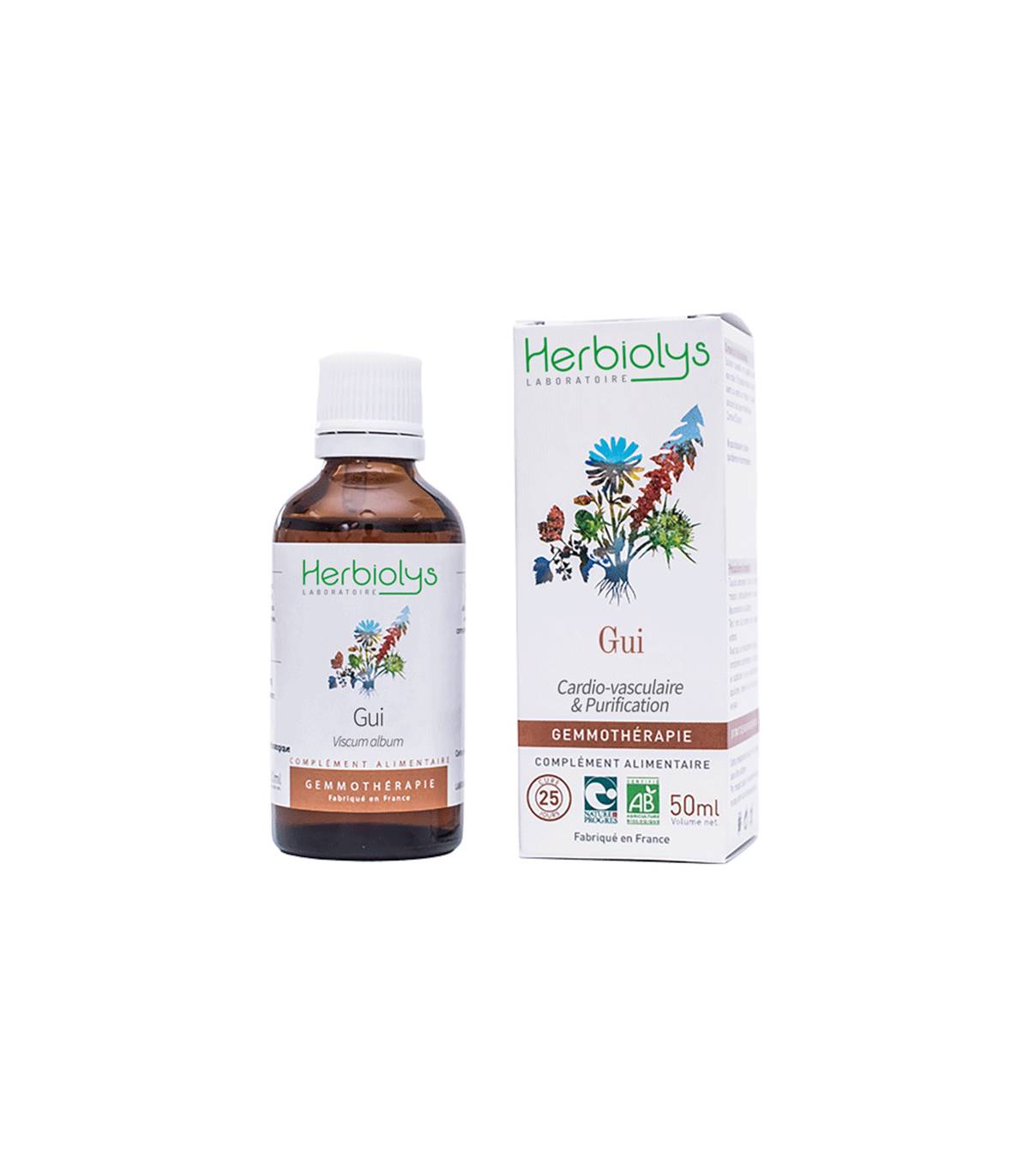 Gui - Bourgeon Bio - Gemmothérapie — Herbiolys