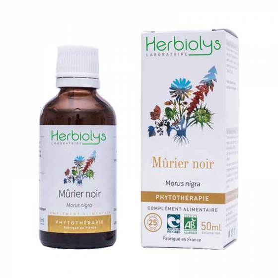 Teinture mère de Mûrier noir frais BIO - Phytothérapie Herbiolys